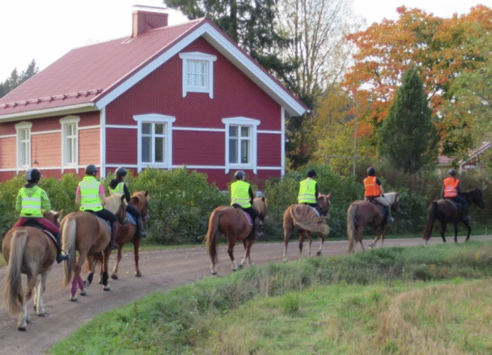 Tunnin maastoratsastus