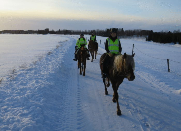 Tunnin maastoratsastus - Image 3