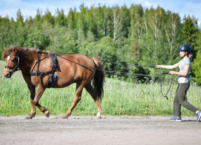 Leirien ja kurssien varausmaksu - Image 3